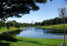 Ліверпульський Сефтон-парк: місце, нагороджене зеленим прапором