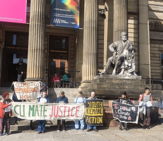 Екологічна ситуація в Ліверпулі: проблеми, старання їх вирішити, результати