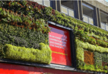 Greening Liverpool: Challenges, Solutions, and Why It Matters