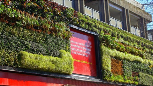 Greening Liverpool: Challenges, Solutions, and Why It Matters
