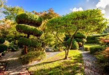 Scenic places in Liverpool