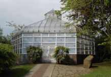 The greenhouses that once stood in Liverpool