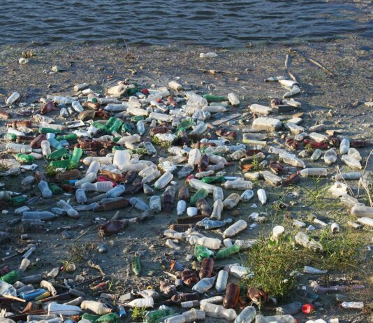 Pollution of the River Mersey: Industrialization has affected water quality