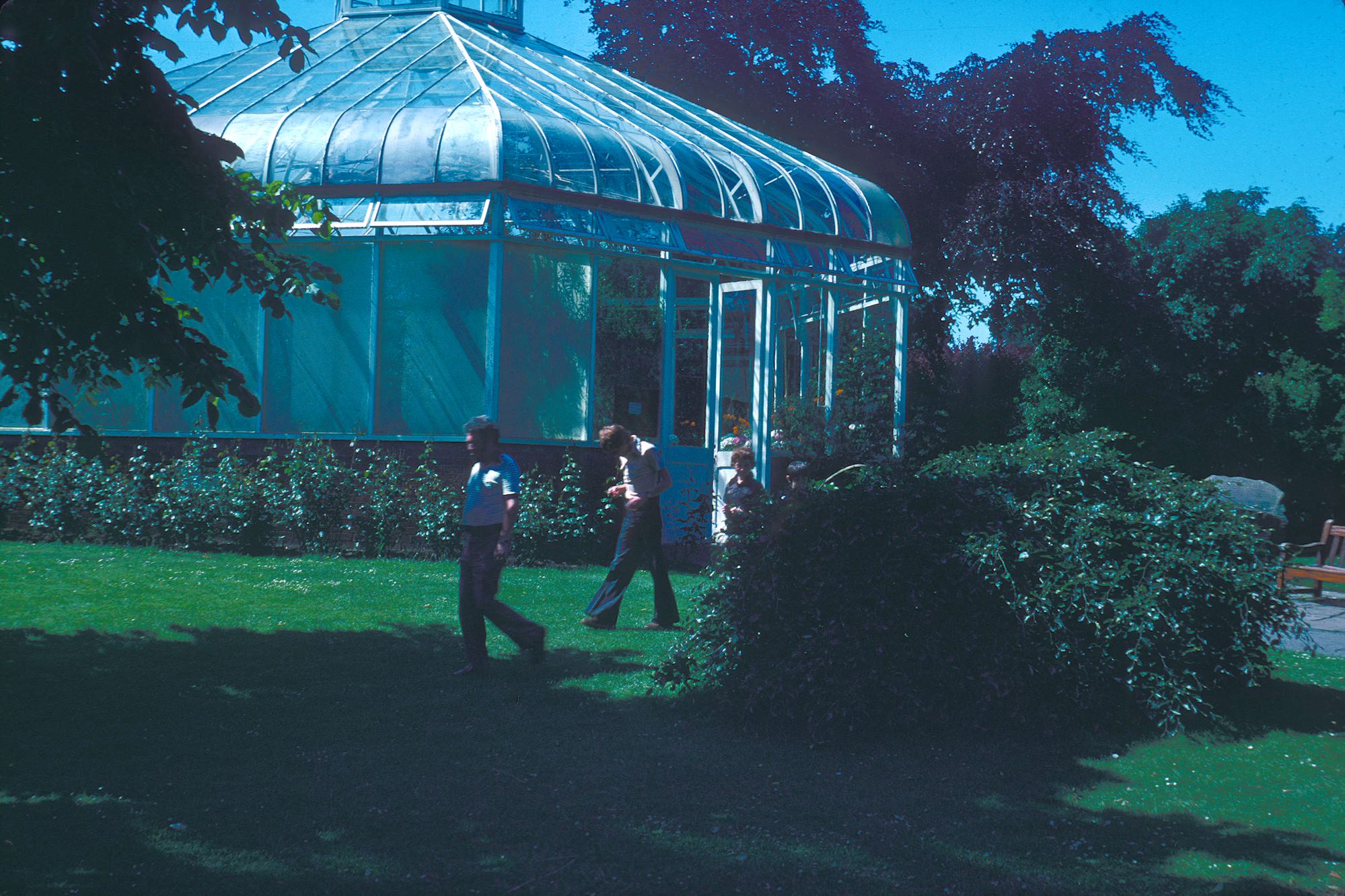 A historical black and white photograph of a large, ornate Victorian-era greenhouse or conservatory.