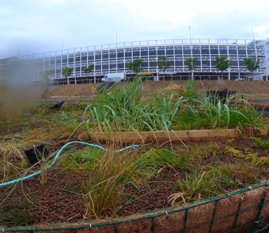 Екорозробки в Ліверпулі: Floating Eco‑Island