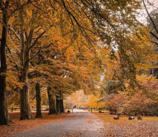 Calderstones Park: стародавня територія з таємницями кам’яного віку
