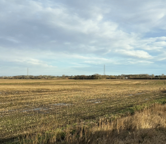 Lunt Meadows – Merseyside’s Unique Wetland Reserve