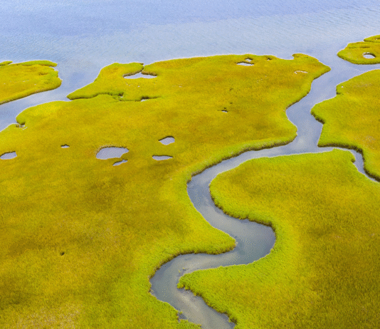 The Mersey Estuary: how the approach to shoreline protection and restoration is changing