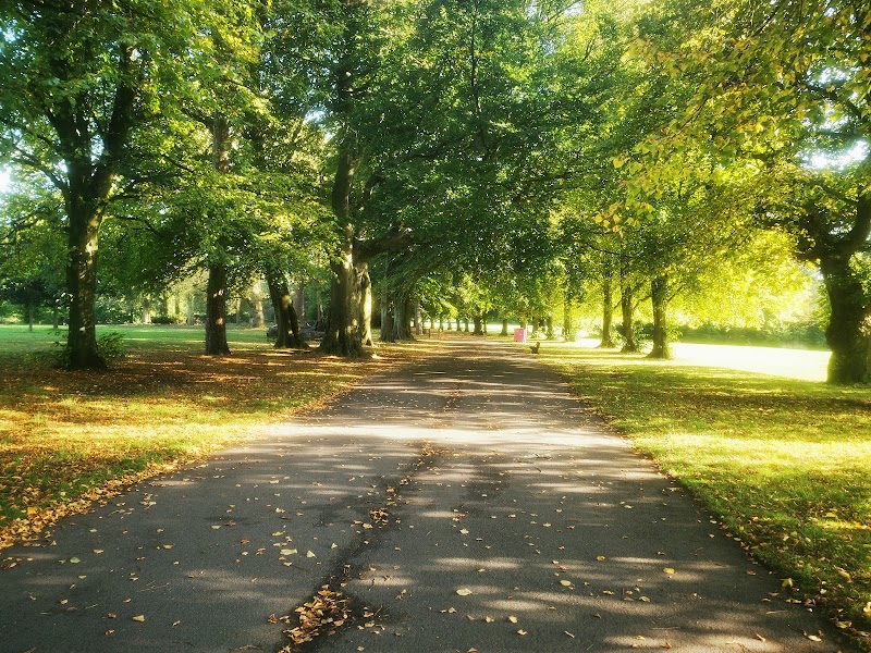 Calderstones Park
