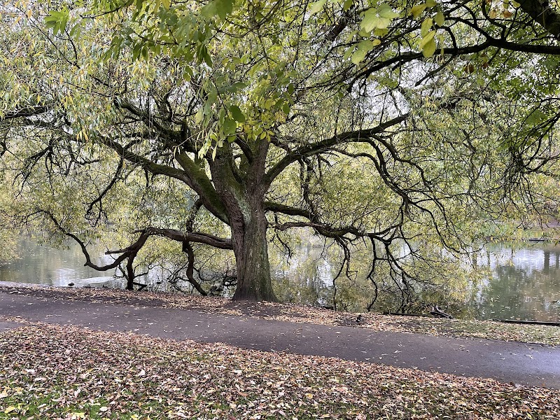 Greenbank Park Play Area