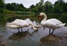 Princes Park