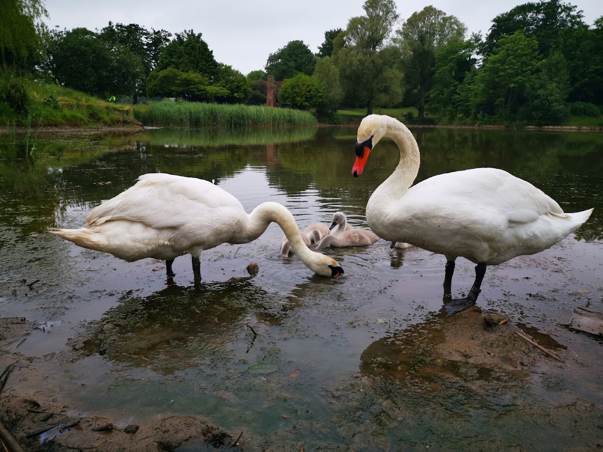 Princes Park — Park