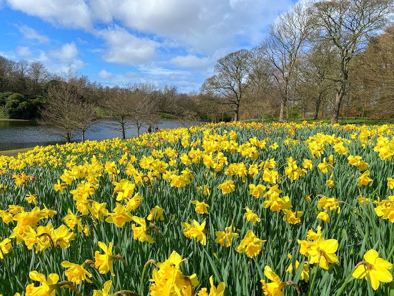 Sefton Park