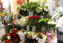 The Flower Pot