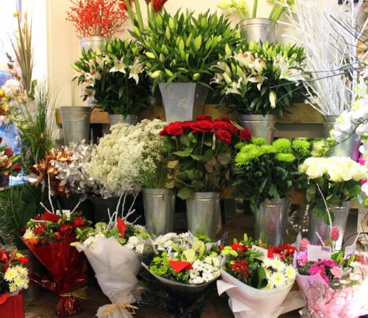 The Flower Pot