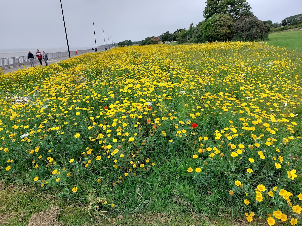 The Otterspool Promenade — Park