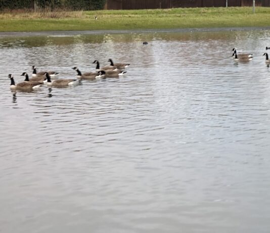 Walton Hall Park