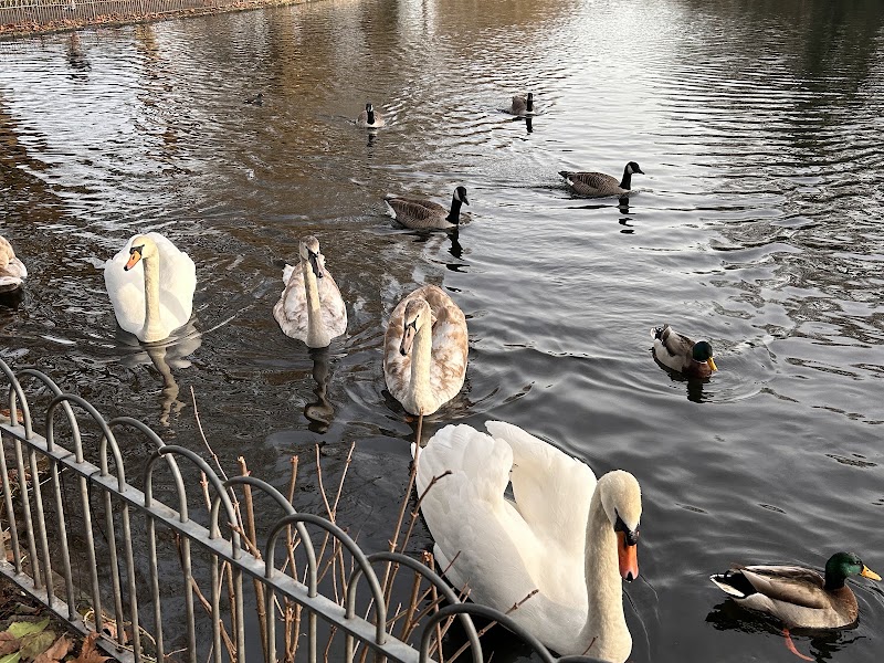 Walton Hall Park