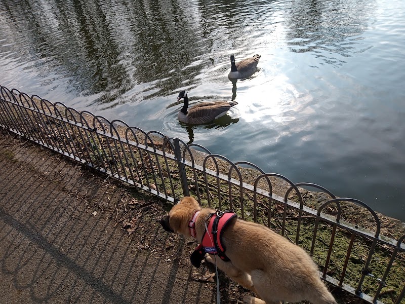 Walton Hall Park