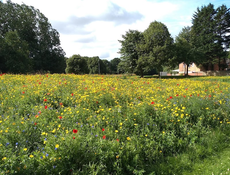 Walton Hall Park